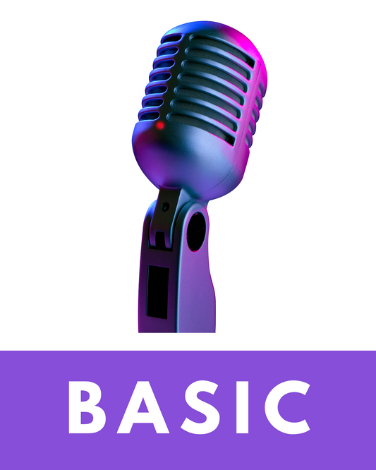 Basic Voice-Over Package – 12 Months Access